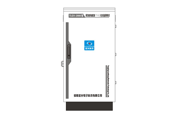 TLGV-2000型揮發(fā)性有機物（TVOC）在線監(jiān)測系統